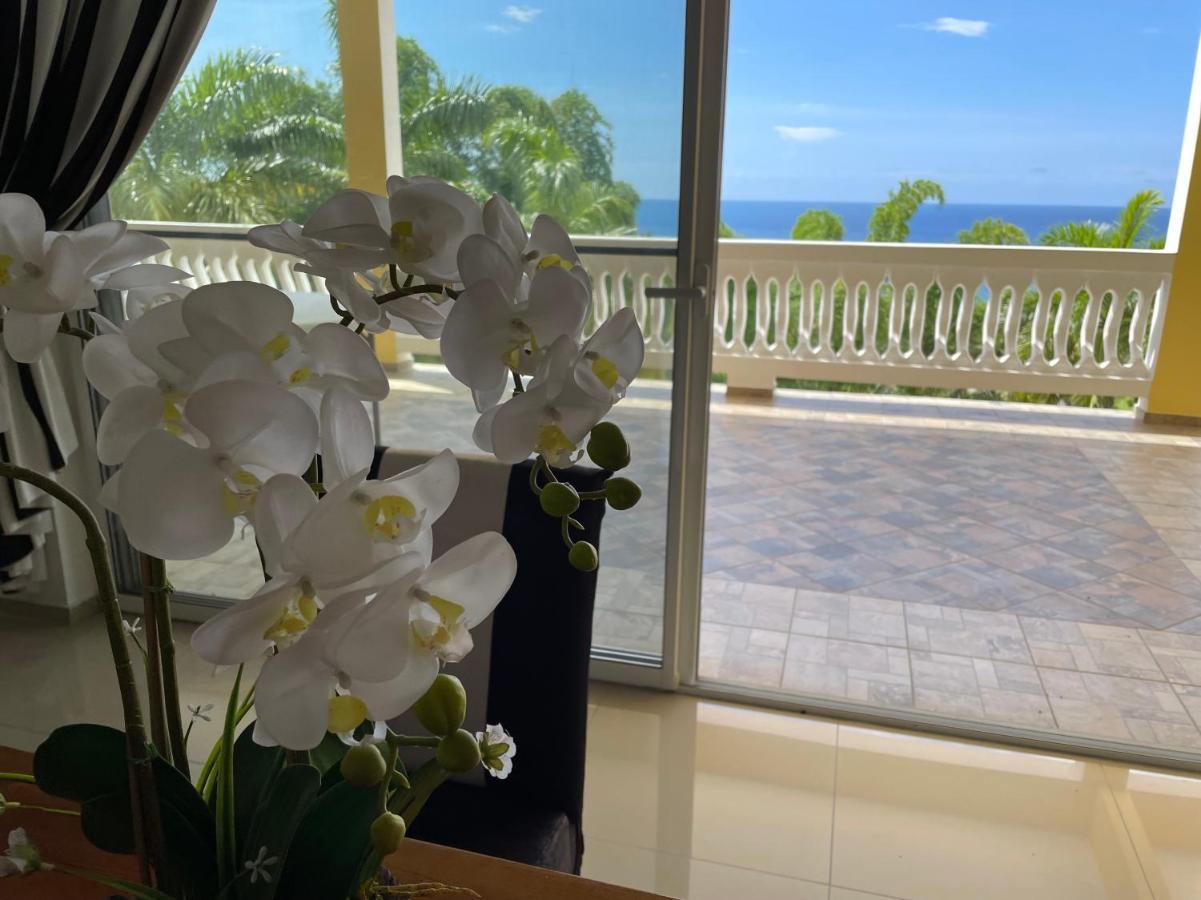 Spring Garden Mobay Resort Luxurious Apartments Montego Bay Exterior photo